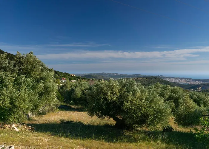 Anthodesmi Dilináta